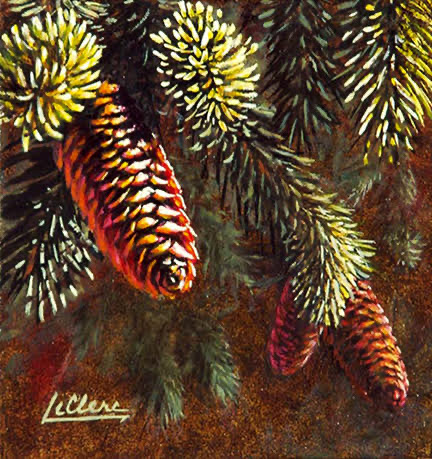 Pine cones II Luc LeClerc