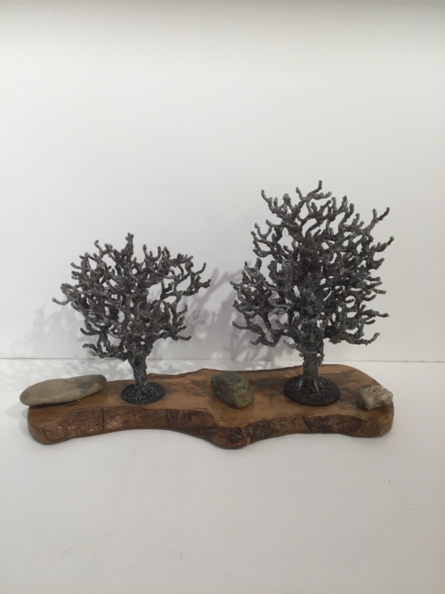arbres: le duo Gilles Drolet