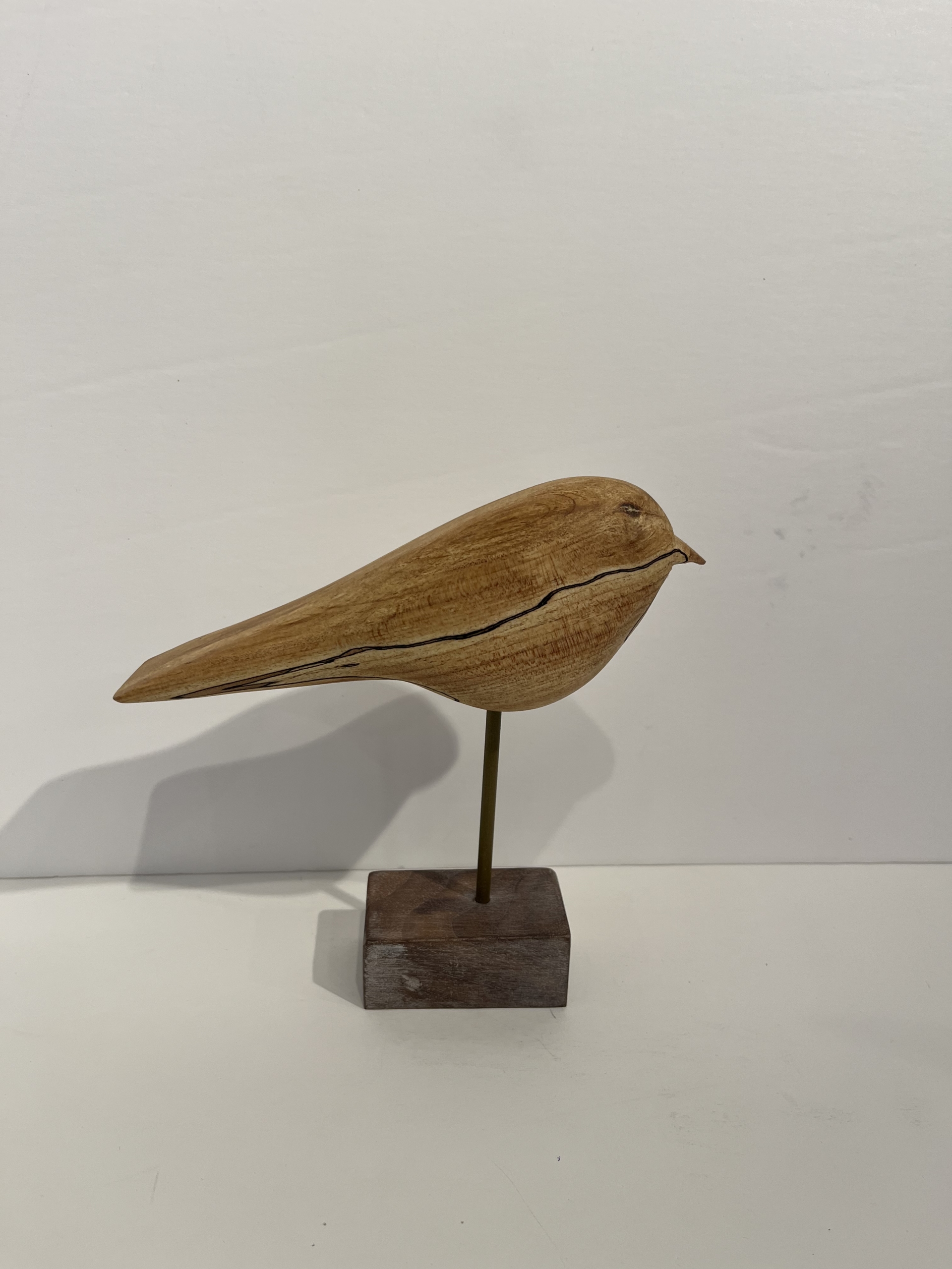 mésange. Benoit Gingras