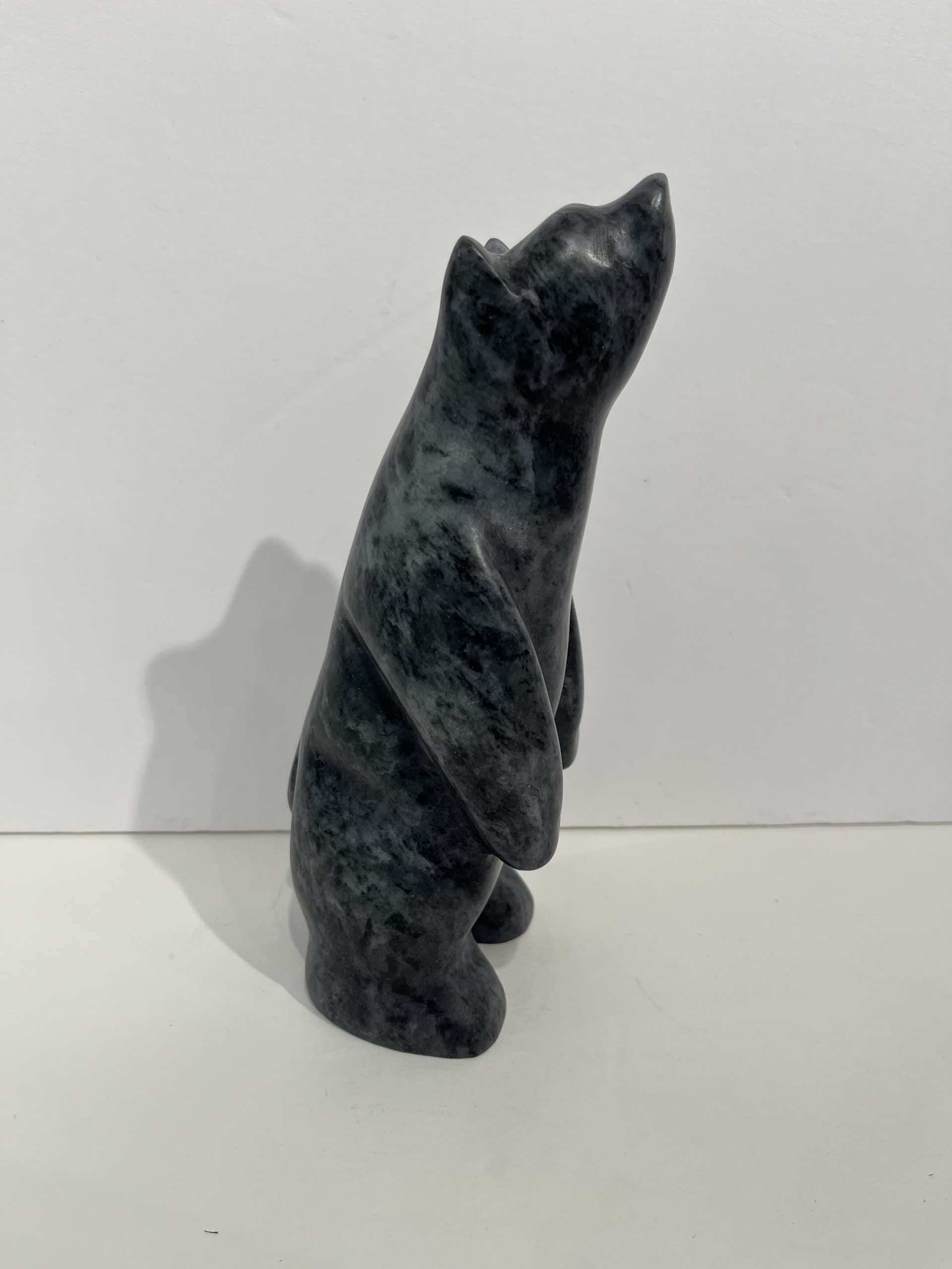 ours debout 10 p Ross Parkinson